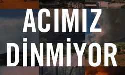 TEMA Mersin Sessiz Kalmadı: “Yanan Ormanlar Hepimizin Canını Yakıyor”