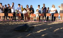 Soli Denize Bırakıldı, Uydu Takibi Başladı