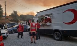 Orman Yangınlarında Kızılay Seferberliği