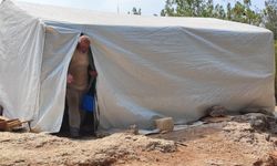 Ormanda Hayatta Kalma Mücadelesi Veriyor