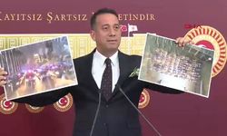 Zeytinlik İsyanı Büyüyor: “Doğaya Da Çiftçiye De Yazık Etmeyin!”