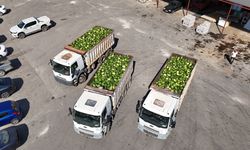 MEZİTLİ’DE 36 TON KARPUZ ÜCRETSİZ DAĞITILDI