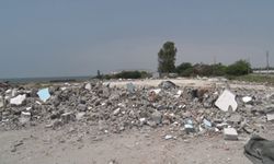 Kaplumbağaların Sahili Geri Alındı