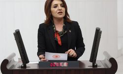 Gülcan Kış’tan Meclis’te Yangın Çıkışı: “Orman Yoksa Hayat Yok, Bu Vurdumduymazlığa Artık Yeter!”