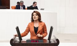 CHP’li Gülcan Kış İsyan Etti: “Zeytine Uzanan El, Halka Uzanmıştır”