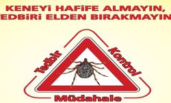 Sıcaklarda Tehlike Büyüyor: Sivrisinek ve Kenelere Dikkat