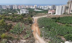 Alanya'da Yol Ortasındaki Direk Tehlike Saçıyor