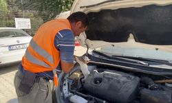 Kaputa Giren Kedi Güçlükle Çıkarıldı