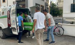 Alanya'da Kiralık Evde Cinayet: Katil Emlakçıyı Arayıp İtiraf Etti