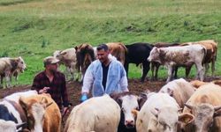 "Kars, Ardahan ve Artvin'de Başladı Yayılıyor!