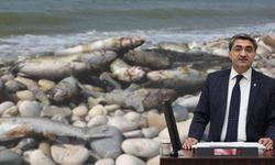 Kazanlı’daki Balık Ölümleri Meclis’e Taşındı!