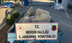 Mersin’in Mut İlçesinde Tarihi Eser Operasyonu