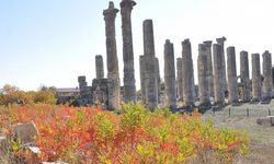 Mersin’de XXX. Arkeoloji Günleri Başlıyor