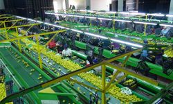 Limon ve elma ihracatına yeni düzenleme: Kayda bağlandı