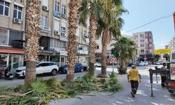 Silifke Belediyesi’nden Çiçek Gibi Çalışmalar