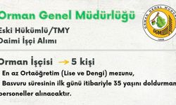 Mersin’de İş Fırsatı: Orman Genel Müdürlüğü İşçi Alacak