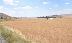 Kasım 2025’te Boş Araziler Üretime Kazandırılacak