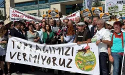 CHP, “Zeytin ve Çevre Yasası” İçin Anayasa Mahkemesi’ne Başvurdu