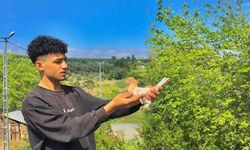 19 Yaşındaki Genç Sürücü Motosiklet Kazasında Yaşamını Yitirdi