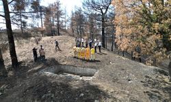 Kahramanmaraş’ta Yangın Bölgesine Fidan Dikimi Başlıyor