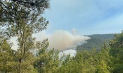 Alanya’da Orman Yangını Devam Ediyor: Kritik Bölgeler Tehlikede