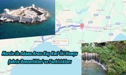 Mersin ile Adana Arası Kaç Km? İki Komşu Şehrin Benzerlikleri ve Farklılıkları