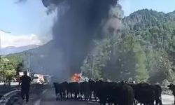 Seyir Halindeki TIR Alev Aldı, Hayvanlar Son Anda Tahliye Edildi