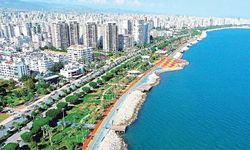 Mersin'de yetişiyor! Dünyanın en pahalısı olarak biliniyor