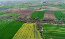 Mersin'de mahkemeden satılık tarla ve evin fiyatı şaşırttı