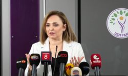 DEM Parti’den Komisyona Eleştiri: “Yol Haritası Hala Belirsiz”