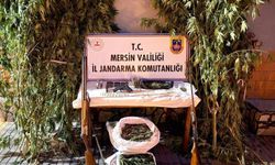 Mersin’de Jandarma’dan Kaçak Ekim Operasyonu