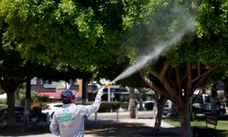 Büyükşehir'den vektörle mücadelede dijital adım