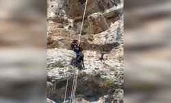 Uçurumda Mahsur Kalan Keçi İtfaiye Ekiplerince Kurtarıldı