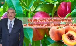 Türkiye Şeftali ve Nektarin İhracatında Dünya İkincisi: Mersin Başrolde