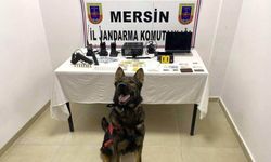 Mersin'de zehir tacirlerine operasyon