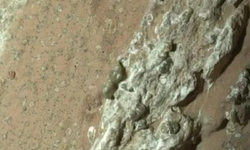 NASA’dan Tarihi Açıklama: Mars’ta Mikrobiyal Yaşam İzine Rastlandı