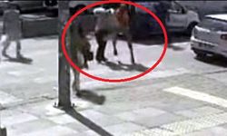 Yol Verme Tartışması Kadına Şiddete Dönüştü