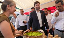 2. Uluslararası Tarsus Sarıulak Zeytin Festivali Kapılarını Açtı