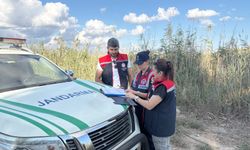 Yasadışı mavi yengeç avlayanlar jandarmaya yakalandı