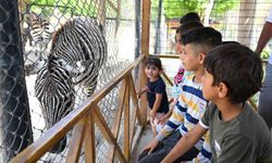 Tarsus Hayvanat Bahçesi Mersin Turizminde Dengeli Konumunu Koruyor