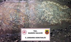"Anadolu Mirası" Operasyonunda 1500 Yıllık Mozaik Ele Geçirildi