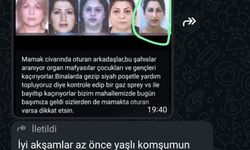 Sosyal Medyada 10 Kadının Çocuk Kaçırdığına Dair Dezenformasyon İçerikli Paylaşıma Gözaltı
