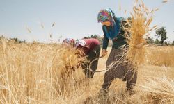 Toprağın Lider Kadınları Tarsus’ta Buluşuyor