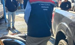 Mersin’de Kaçak Balığa El Konuldu, İşletmeye Ceza Kesildi