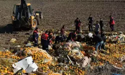 Mersin Narenciye Atıklarından Yüksek Katma Değerli Ürün Üretiyor