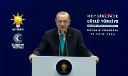 Cumhurbaşkanı Erdoğan: “81 ilde büyük bir gayret gösterdik”