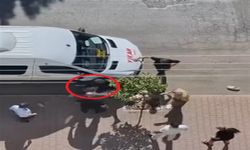 Sokakta Bıçaklandı: Saldırganı Taşla Kovaladı