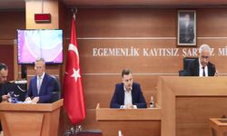 Bayrampaşa Belediye Başkan Vekilliği Seçimine İlişkin Yürütmeyi Durdurma Kararı