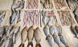 Balık Tezgahları Balıkla Doldu, Fiyatlar Ucuzladı