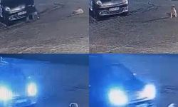 Aracın üzerinden geçtiği köpek telef oldu